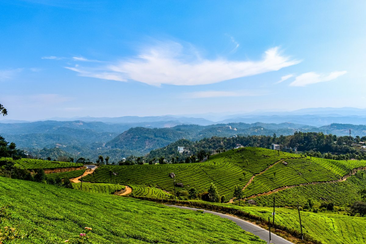 Kerala Munnar tea gardens tour package from Kolkata