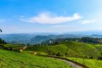 Kerala Munnar tea gardens tour package from Kolkata