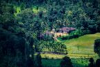 Bangalore – Mysuru – Ooty – Coorg Tour Package - Image 3