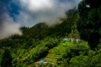 Gangtok – Darjeeling Tour Package - Image 5