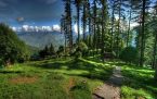 Scenic Dhanaulti Uttarakhand holiday tour from kolkata