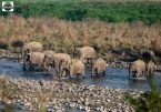 Best Nainital Kausani Jim Corbett Tour Package from Kolkata