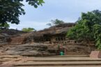 Bandhavgarh – Kanha – Pachmarhi Tour Package (From Jabalpur) - Image 7