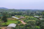 Bandhavgarh – Kanha – Pachmarhi Tour Package (From Jabalpur) - Image 6