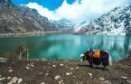 North Sikkim (Lachen & Lachung) with Tsomgo Lake Tour Package - Image 4